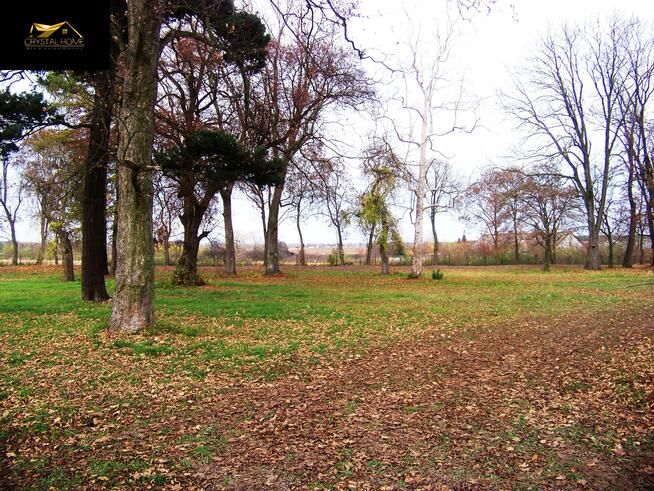 Lokal użytkowy Falborz gm. Brześć Kujawski