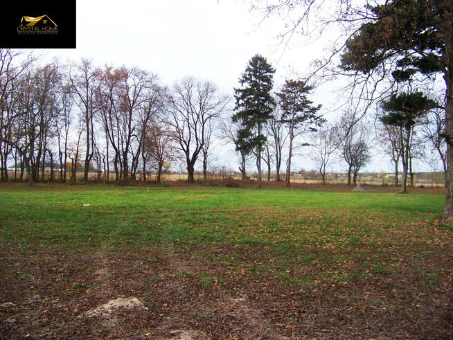 Lokal użytkowy Falborz gm. Brześć Kujawski