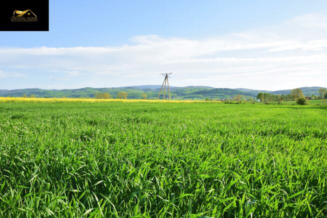 Działka rolna Lutomia Dolna gm. Świdnica