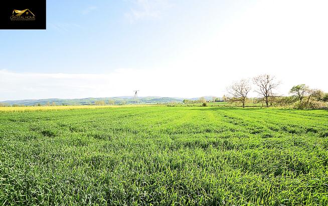 Działka rolna Lutomia Dolna gm. Świdnica