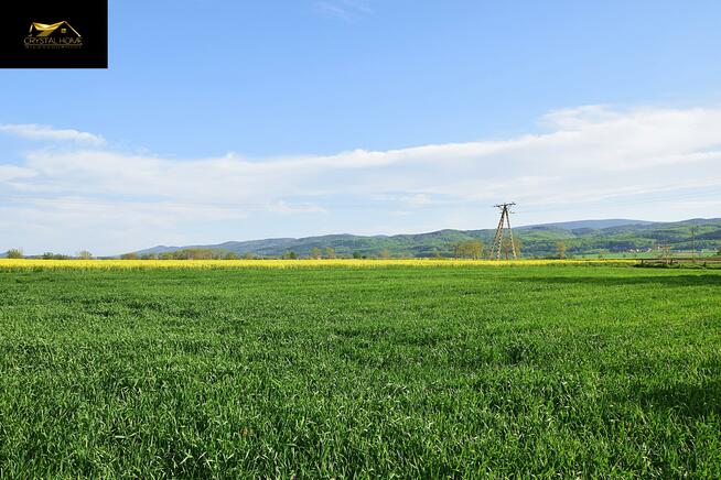 Działka rolna Lutomia Dolna gm. Świdnica