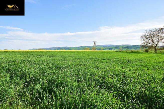 Działka rolna Lutomia Dolna gm. Świdnica