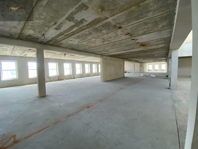 Lokal użytkowy Świdnica