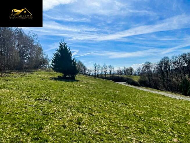 Działka rolno-budowlana Wilcza gm. Kłodzko, Wilcza