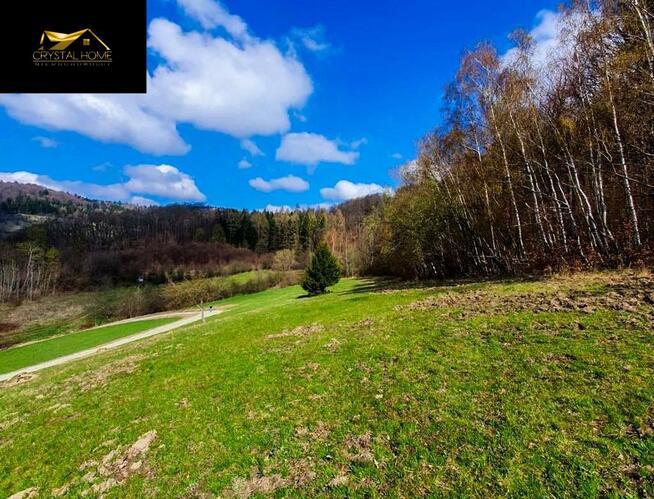 Działka budowlana Wilcza gm. Kłodzko, Wilcza