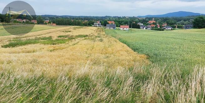 Działka budowlana Wierzbna gm. Żarów