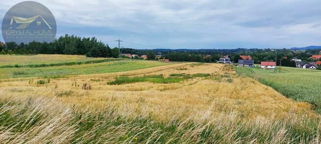 Działka budowlana Wierzbna gm. Żarów