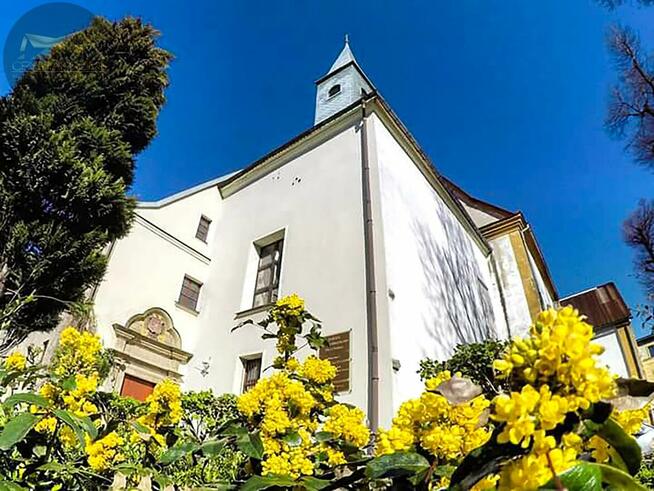 Lokal użytkowy Świdnica