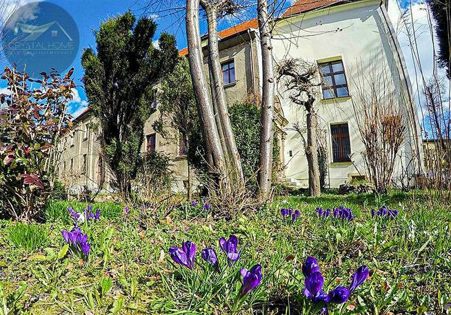 Lokal użytkowy Świdnica