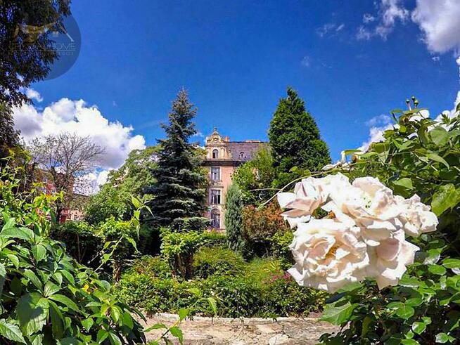 Lokal użytkowy Świdnica