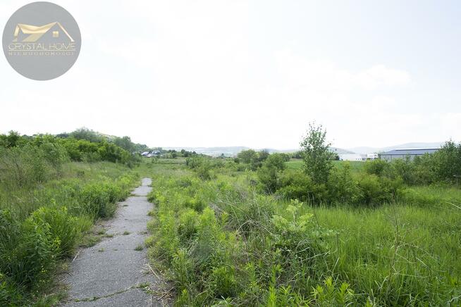 Działka rolna Bielawa