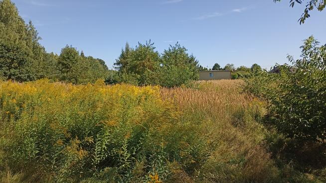 działka budowlana Halemba/Kłodnica