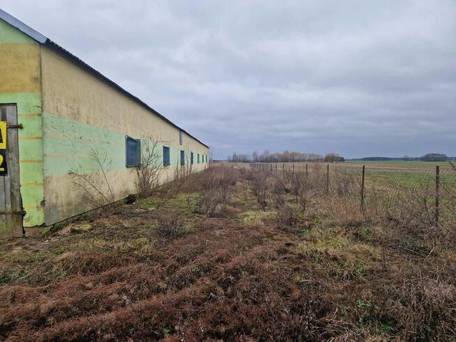 Budynek na magazyn, kurnik lub produkcję
