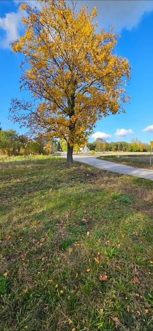 Działka bud.; 1286M2; WZ; LIPA