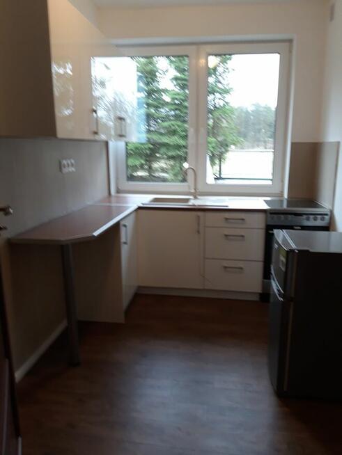 Wynajmę bezczynszowe mieszkanie bezpośrednio.