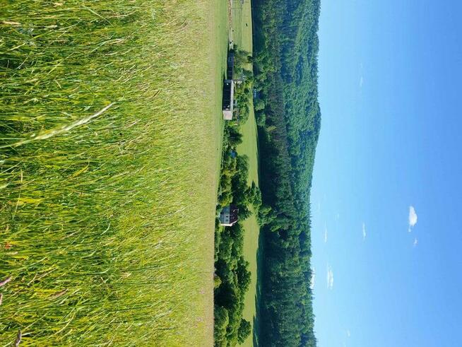 Cena za 2 działki budowl.- rolne INWESTYCYJNE z WZ k.Arłamów