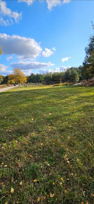 Działka bud.; 1286M2; WZ; LIPA