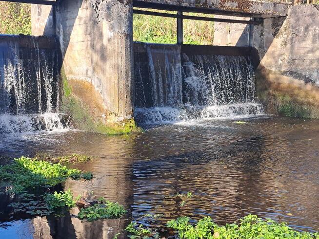 Działka pod zabudowę w klimacie leśnym