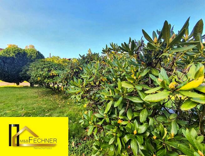 Działka z domkiem i wszystkimi mediami