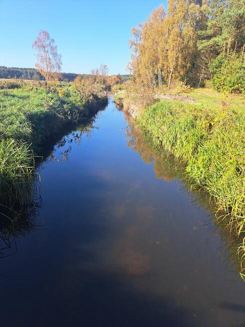Działka pod zabudowę w klimacie leśnym