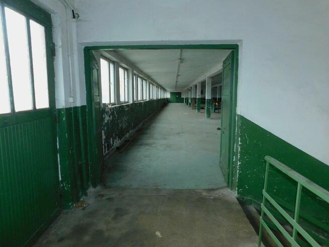 Syndyk sprzeda - Radom, ul. Garbarska 27 (dz. nr 6/15)