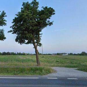 Działka 2,29ha przy trasie Święcice - Błonie