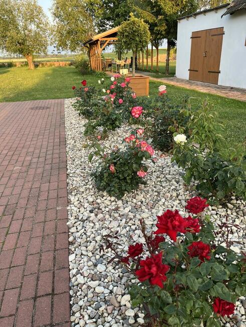 Dom z garażem i budynkiem gospodarczym na sprzedaż w Leśnicy