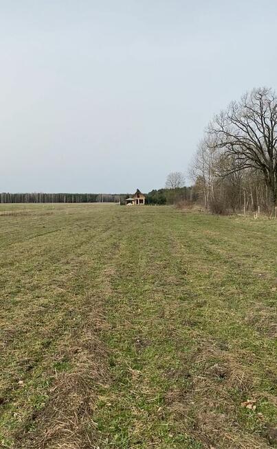 Sprzedam 2 działki 10-arowe w Białce k. Parczewa