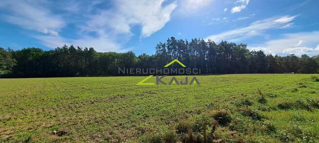 Atrakcyjnie położona działka w gminie Świdnica