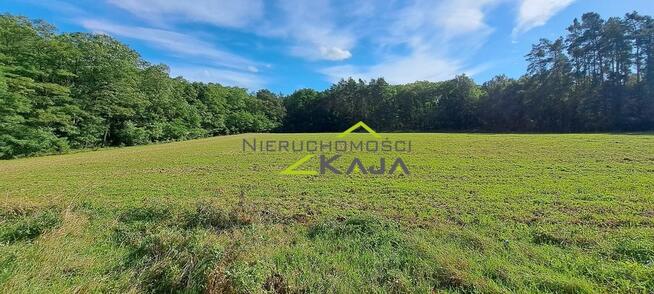 Atrakcyjnie położona działka w gminie Świdnica