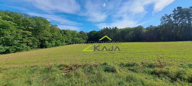Działka w otulinie lasu - Grabowiec