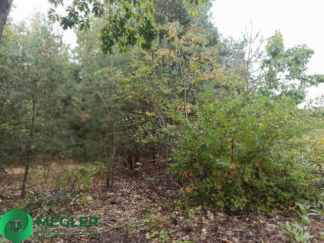 Działka wśród nowej zabudowy