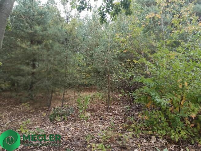 Działka wśród nowej zabudowy