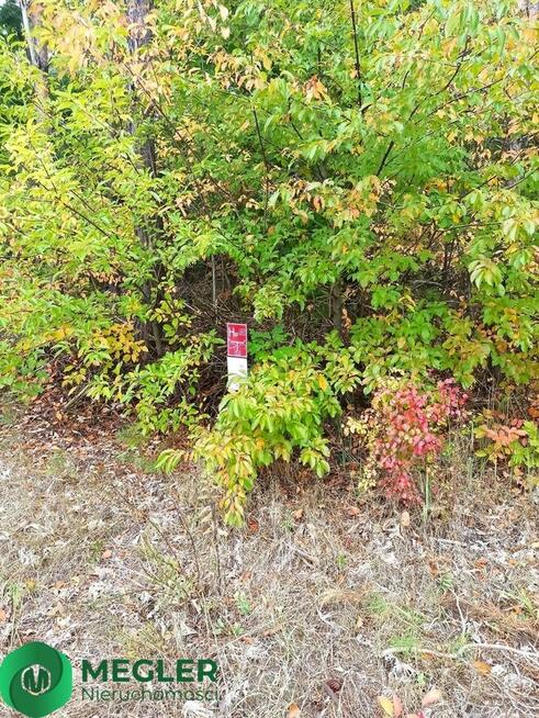 Działka wśród nowej zabudowy