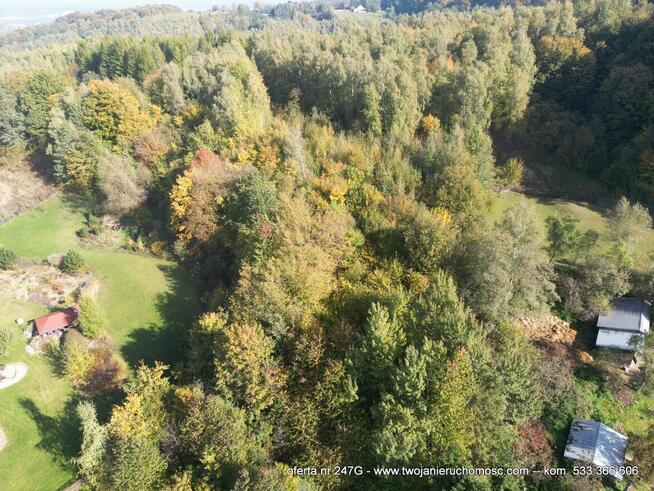 Dębica, ul. Wielopolska - kompleks 4 działek na sprzedaż