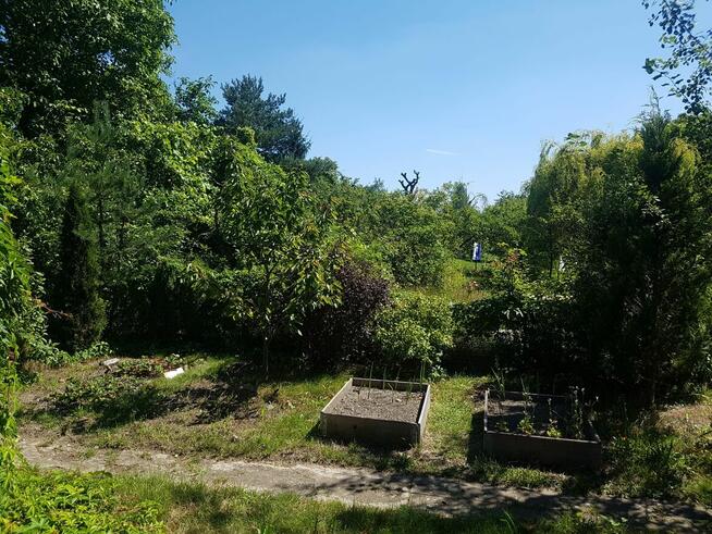 ogródek działkowy ROD lepsze jutro wrocław, ołbin