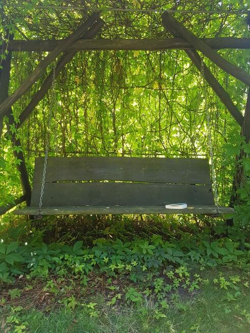 ogródek działkowy ROD lepsze jutro wrocław, ołbin