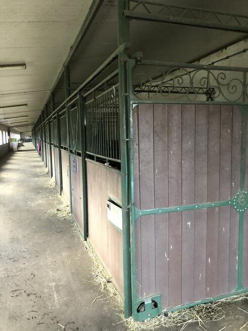 Deska kompozytowa pióro/wpust 15x2,8