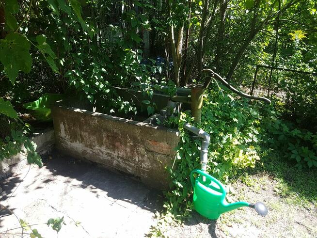 ogródek działkowy ROD lepsze jutro wrocław, ołbin