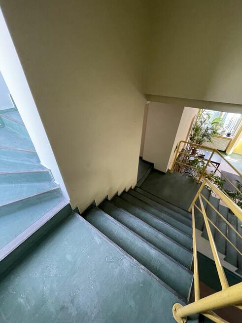 Pomieszczenia użytkowe w dobrej lokalizacji !