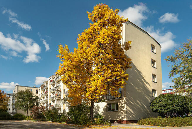 Ciepłe i ciche 45 metrów na Szaserów!!!