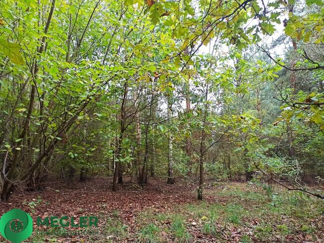 Urokliwa działka - idealna pod dom parterowy