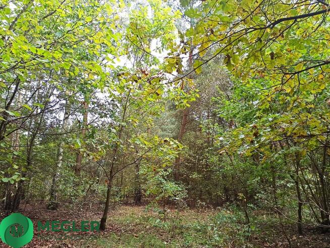 Urokliwa działka - idealna pod dom parterowy