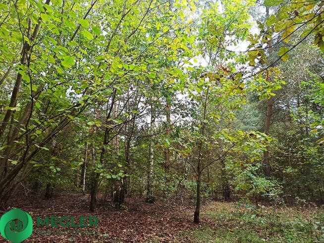 Urokliwa działka - idealna pod dom parterowy