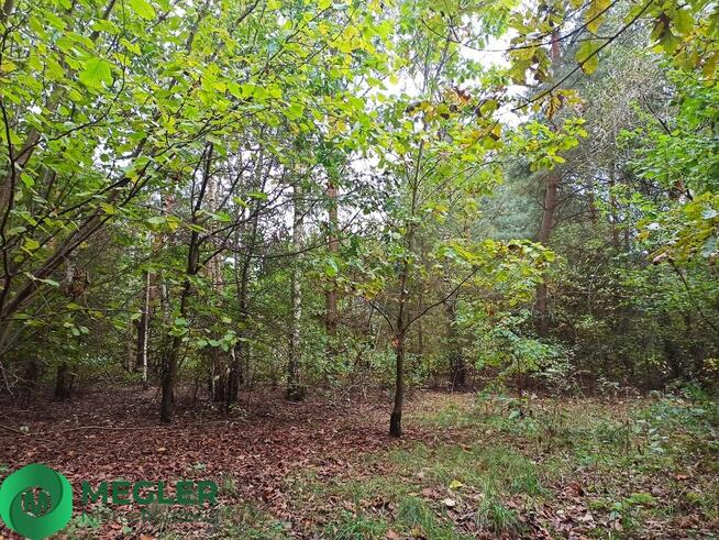 Urokliwa działka - idealna pod dom parterowy