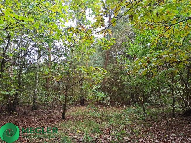 Urokliwa działka - idealna pod dom parterowy