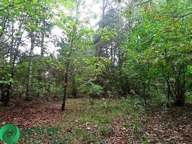 Urokliwa działka - idealna pod dom parterowy