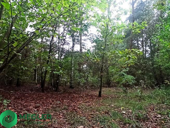 Urokliwa działka - idealna pod dom parterowy