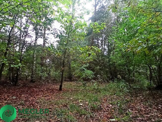 Urokliwa działka - idealna pod dom parterowy