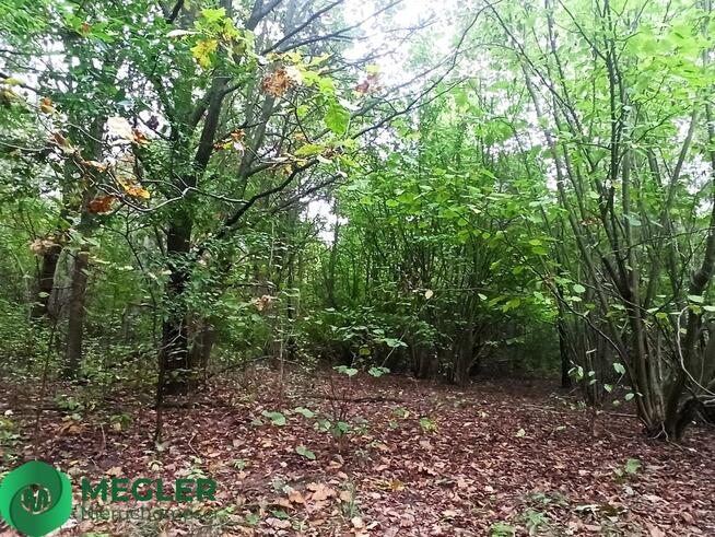 Urokliwa działka - idealna pod dom parterowy